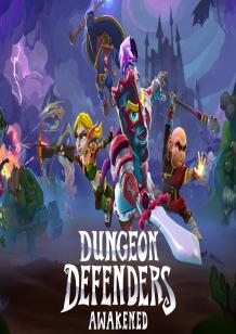 Dungeon Defenders Awakened cover