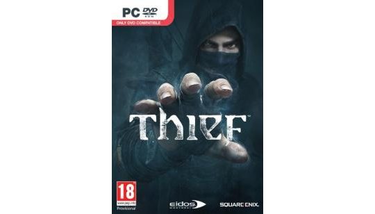 Thief cover