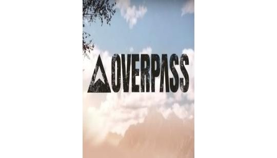Overpass cover