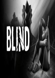 Blind cover