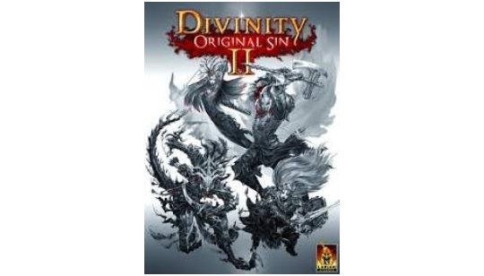 Divinity: Original Sin 2 cover