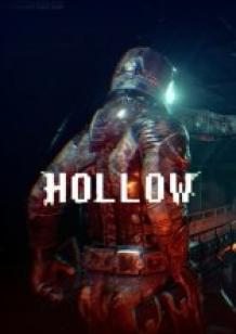 Hollow cover