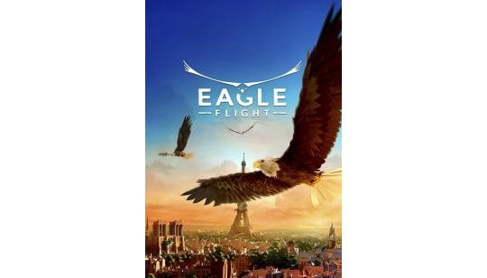 Eagle Flight cover