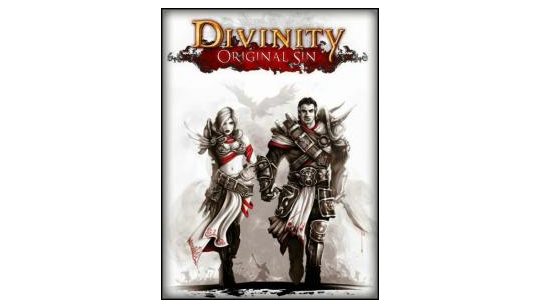 Divinity: Original Sin cover