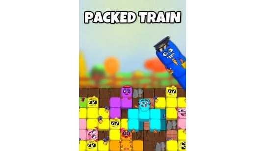 Packed Train cover