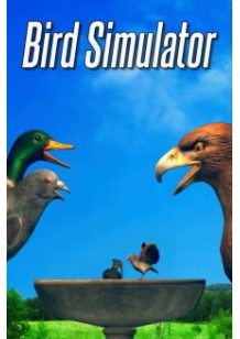 Bird Simulator cover
