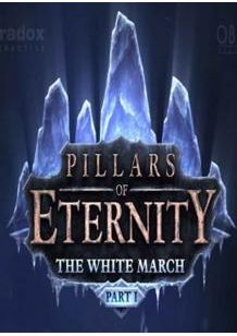 Pillars of Eternity: The White March DLC cover